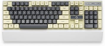 51FjL6MUdpL._AC_SX355_