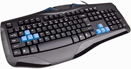 51LjwPsc2mL._AC_SX450_